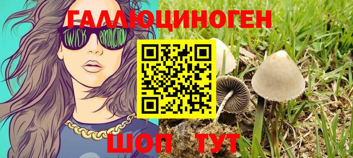Псилоцибиновые грибы ЛСД  как найти закладки  Выборг  Галлюциногенные грибы прущие грибы  Вход с VPN 