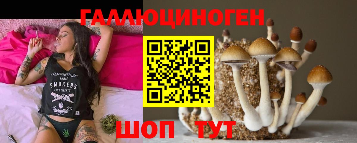 Псилоцибиновые грибы мицелий Выборг